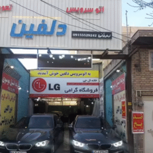 کارواش دلفین